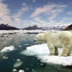 Global Warming / Climate Change