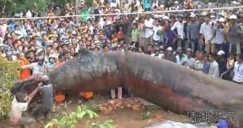 Did they find a monster in Vietnam?