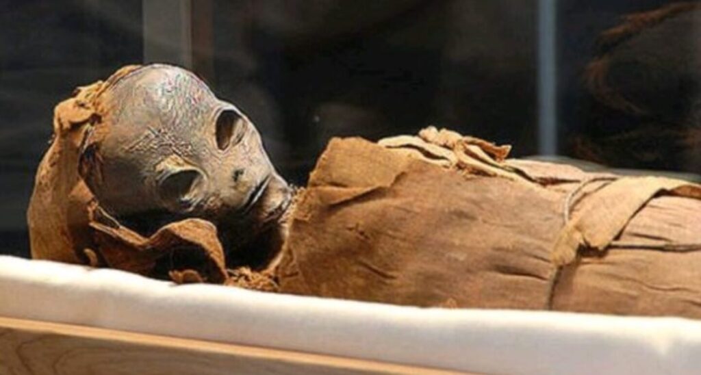 Extraterrestrial Mummy Found In Egypt