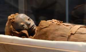 Extraterrestrial Mummy Found In Egypt case file determined a hoax. This is believed to be the actual photo used to then "photoshop" to make it look like an alien. 