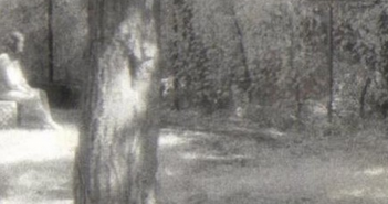 Madonna of Bachelor’s Grove