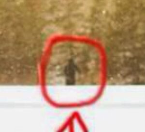 Zoomed & Cropped - Just a person? Or Bigfoot?