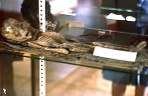 The Roswell Slide - This is the highest resolution that I have found, as of March 6, 2015. Why have they not released a super high resolution scan of the Kodachrome slide for analysis? Click here for the highest resolution available.