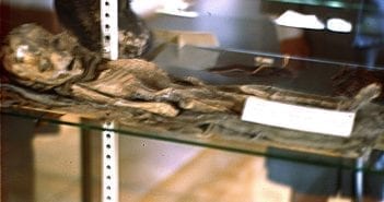 The “Roswell Slide” – Alien Kodachrome Slide Released – But Just One (Now two)