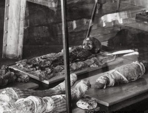 Thebes mummy found 1856, transferred to US Smithsonian in 1956
