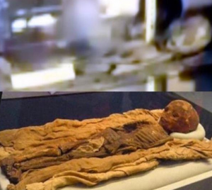 Thebes mummy found 1856, transferred to US Smithsonian in 1956