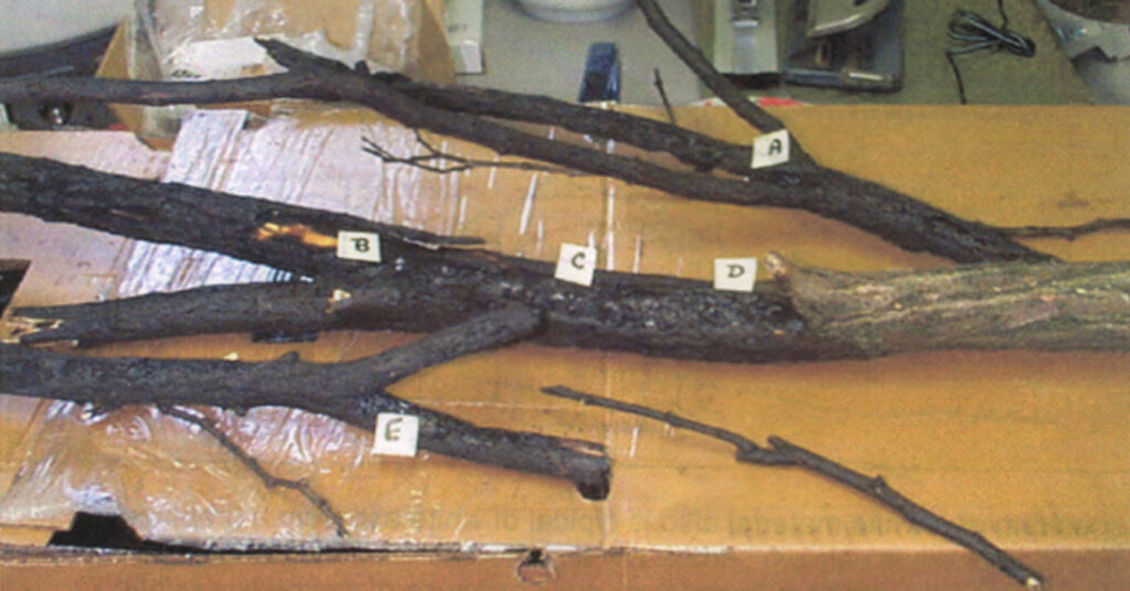 Explosive Visitation or Uncanny Abnormality?