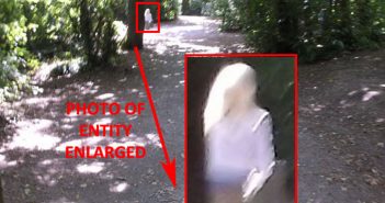 Man Sees & Photographs Strange Entity – Decoy Park – Newton Abbot Devon, UK