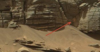Unknown Creature or Plant-Life on Mars?