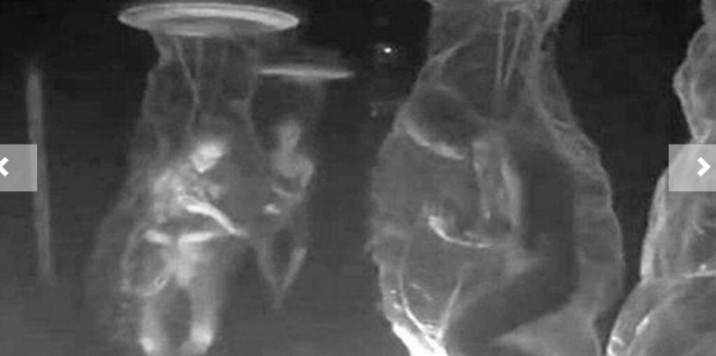"Leaked" Underground Dulce Base Alien Photo by Thomas Costello The