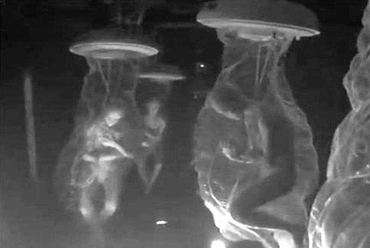 This photograph usually holds the caption: Dulce Base security officer Thomas Costello leaked these to the public He and his family are missing & presumed dead by the public.