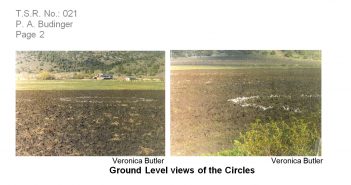 Identification of a White Substance that Formed Rings in Fields after Plowing (New Pine Creek, Oregon)