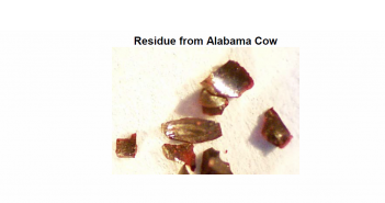 Identification of a Red-Brown Residue from an Excised Cow Discovered 2-21-2001