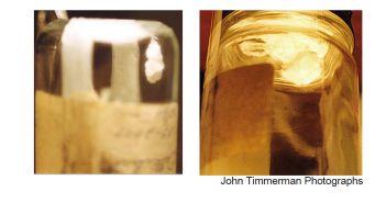 Analysis of Purported “Angel Hair” Collected October 19-20, 1977 (Los Gatos, California)