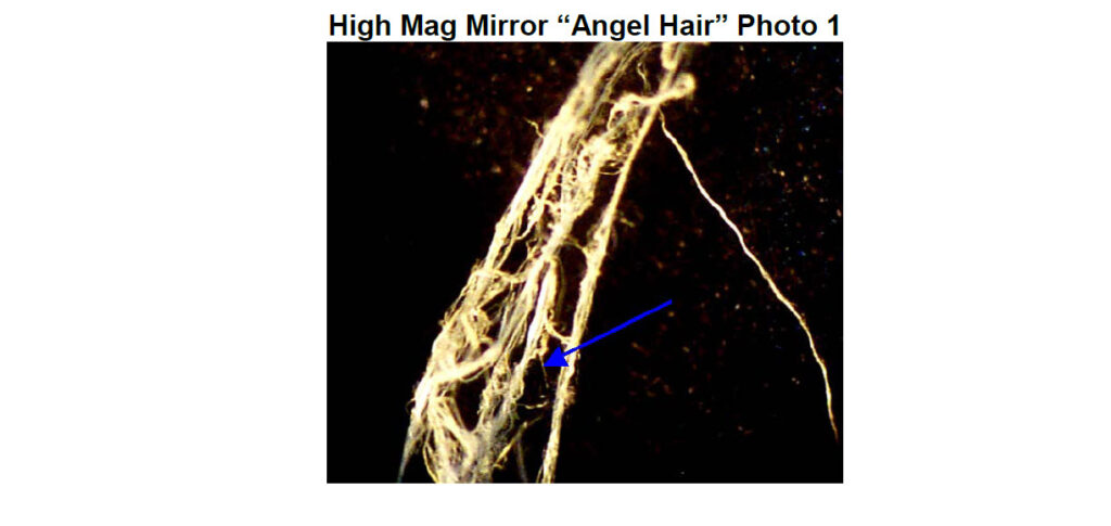 Analysis of a White Fibrous Material Observed Floating from the Sky in The California Sierras (November 9, 2001)