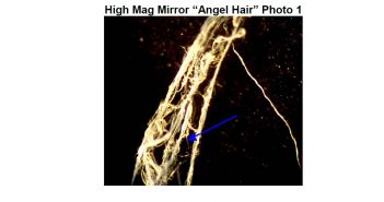 Analysis of a White Fibrous Material Observed Floating from the Sky in The California Sierras (November 9, 2001)
