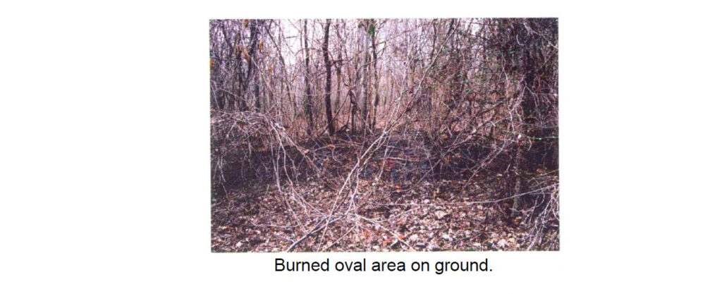 Analysis of Samples from Burned Ground and Tree Trunks Related to a UFO Close Contact (Gaffney, South Carolina – February 22, 2004)