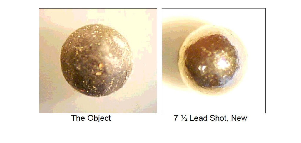 Analysis of a Suspected Alien Implant