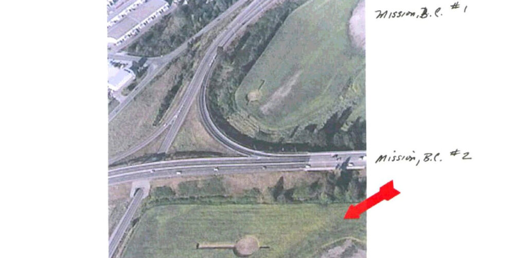 Analysis of Black Material on the Roots and Inside Corn Stalks from a Crop Formation (Mission, B.C., August 2002)