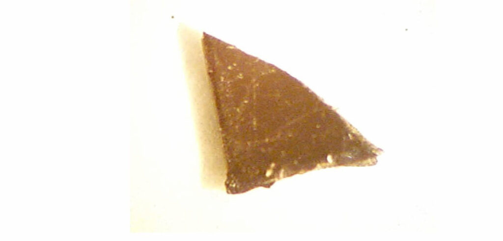 Analysis of a Suspected Alien Implant