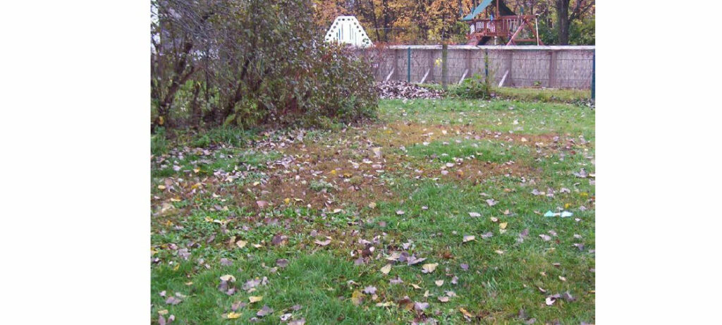 Analysis of Soils Associated with a Possible UFO Abduction (Westland, Michigan, July 19, 2003)