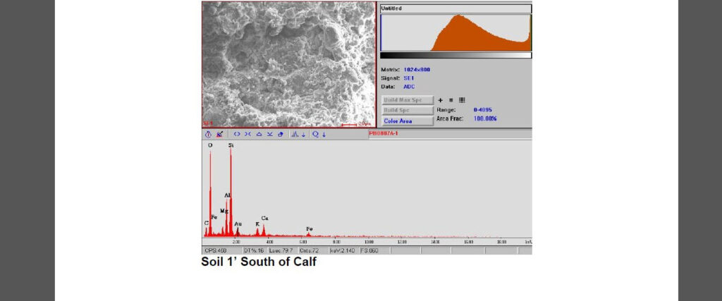 Analysis of Soil Samples Related to a Calf Mutilation in Depuyer, Montana (Discovered October, 2007)