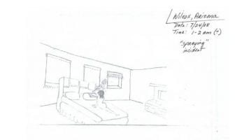 Identification of a Substance found in Hair, Pillow and Sheet after a Bizarre Spraying Event (July 24, 2008 Wilcox, Arizona)