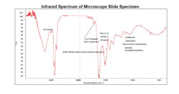 Analysis of Specimens Related to a Purported Encounter with Three Entities (Arizona, September 2008)