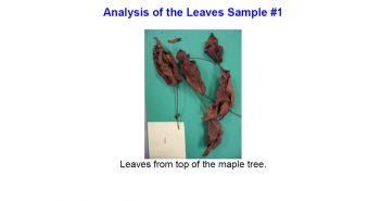 Analysis of Samples Related to an Unknown Light Source (Long Island, NY August 2, 2009)