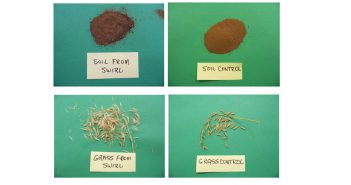 Examination of Soil and Grass Samples That Were in Close Contact with a UFO (May 18, 2009, Buffalo, Oklahoma)