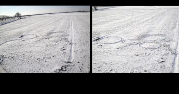 Analysis of Samples from a Snow Formation (Holland, February 2, 2010)