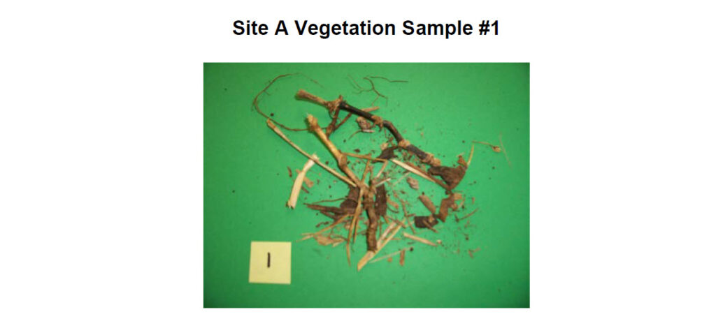 Analysis of Vegetation and Soil after Contact with a Glowing Metallic Object (Miami, Florida, January 2, 2011)