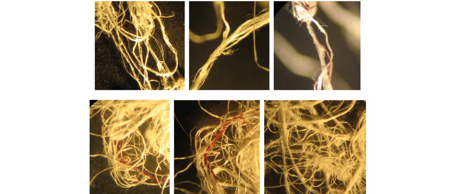 Analysis of an unknown White Fibrous Substance, aka ‘Angel Hair’, Deposited by Barbell-Shaped UFOs (Illinois, November, 4, 2016)