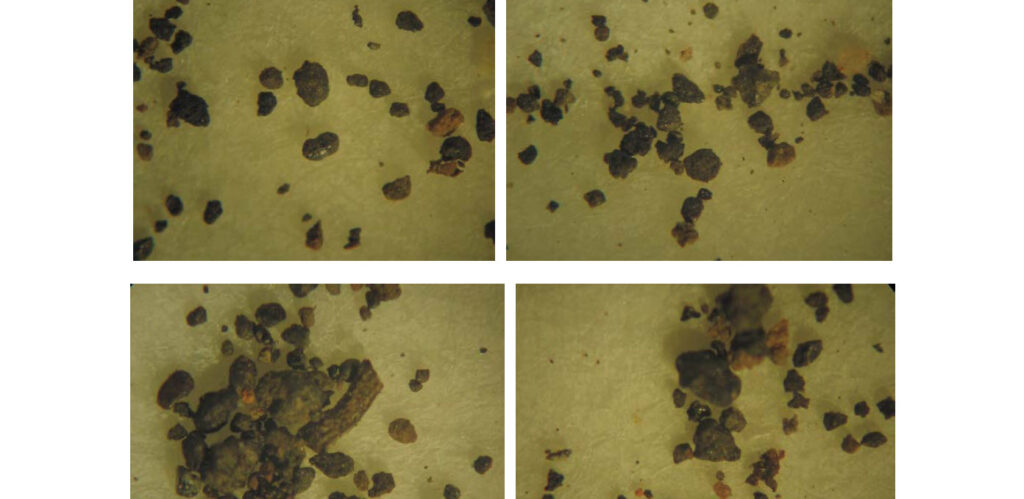 Analysis of Soil Samples from the Travis Walton Abduction Site (Apache-Sitgreaves National Forest, Near Heber Arizona)