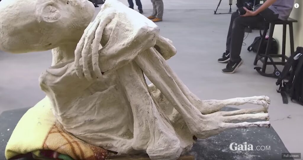 “Unearthing Nazca”: A Common Sense Approach to Analyzing The Three Fingered Mummy from Peru