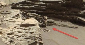 Plant Life or Tree on Mars? Or Glitch? Mars “Gigapan” Shows Strange Anomaly