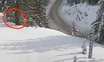 Washington State Department of Transportation Tweets Photos of Sasquatch? January 22, 2020