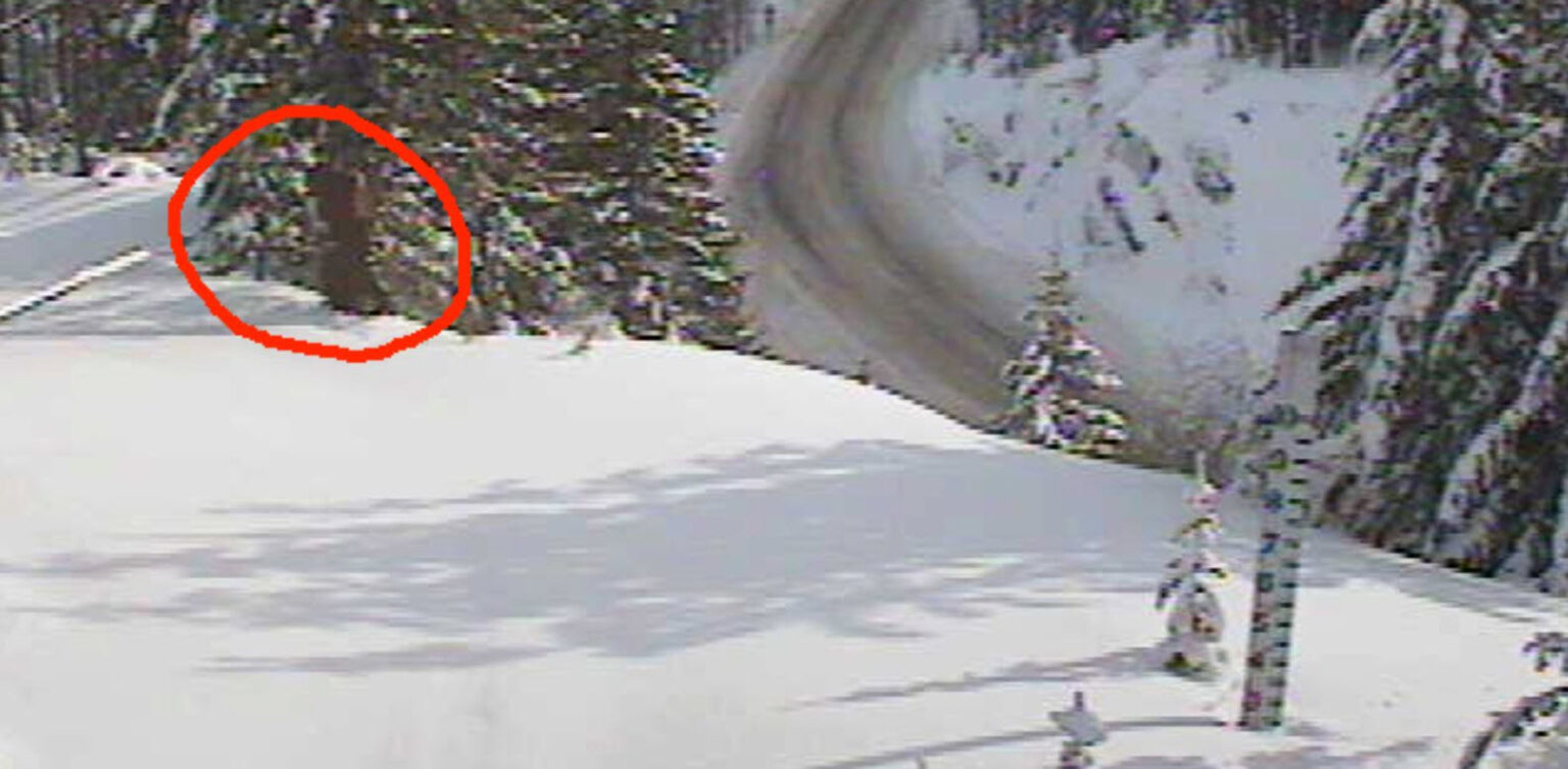 Washington State Department of Transportation Tweets Photos of Sasquatch? January 22, 2020