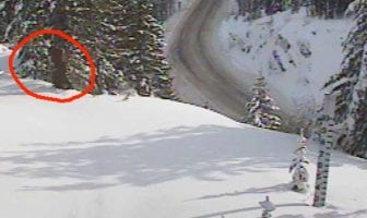 Washington State Department of Transportation Tweets Photos of Sasquatch? January 22, 2020