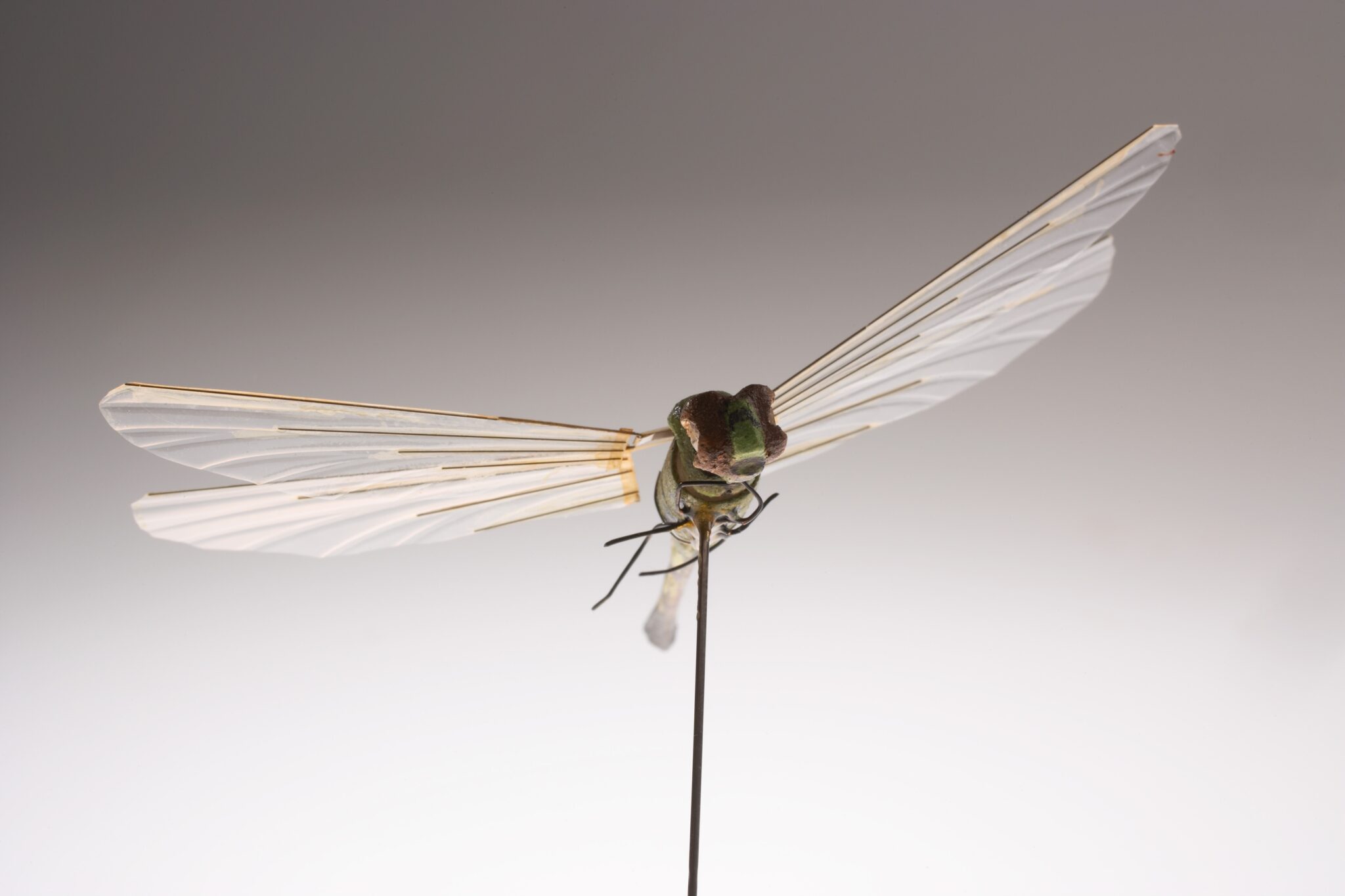 Insectothopter, CIA’s UAV from the 1970s - The Black Vault