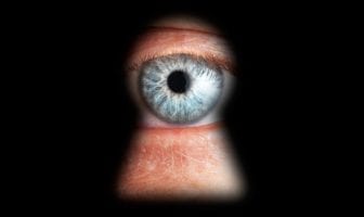 Domestic Intelligence Reports