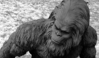 American Embassy “Foreign Service Despatch” to Department of State Regarding the YETI, 30 November 1959