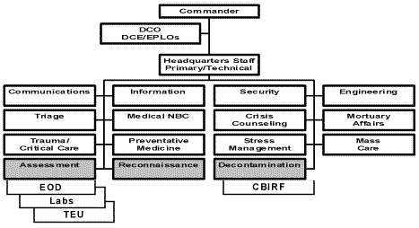 Organization Chart